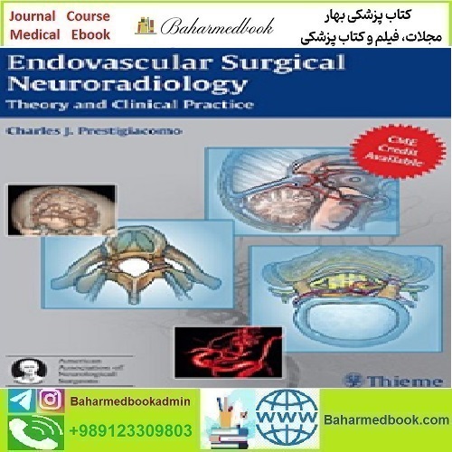 Endovascular Surgical Neuroradiology Theory and Clinical Practi