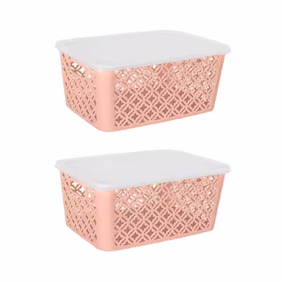 سبد نظم دهنده مدل ALF-36 بسته 2 عددی