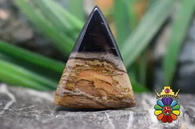 پلام وود جاسپر