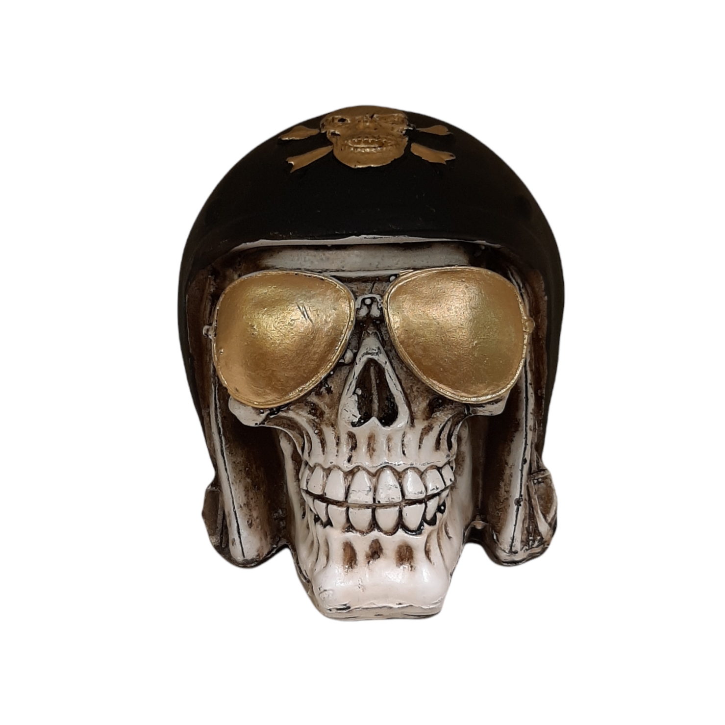 مجسمه مدل اسکلت ملوان