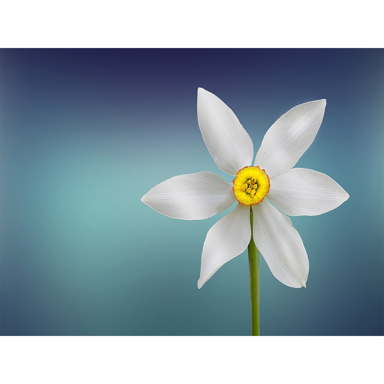 تابلو شاسی نگاتیو طرح 8035A