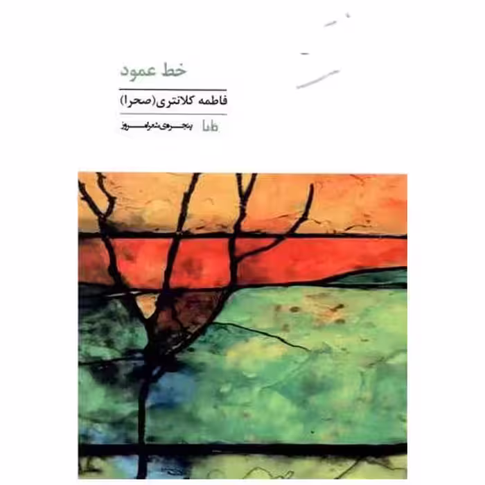 کتاب خط عمود اثر فاطمه کلانتری