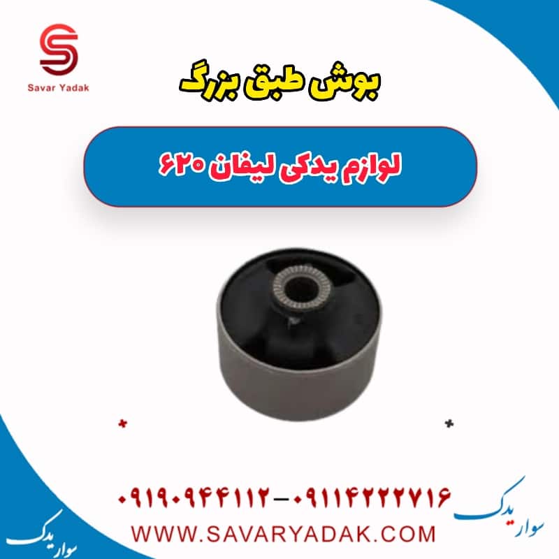 بوش طبق بزرگ لیفان 620