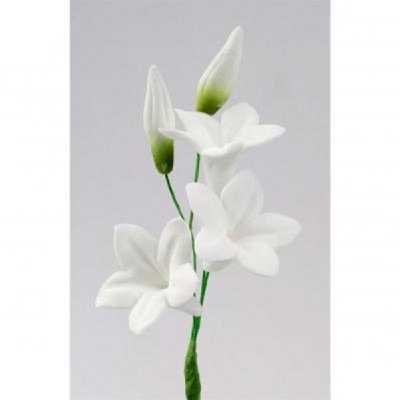 سیلیکون قالب گیری به گز مدل گل گلایول مجموعه 5 عددی