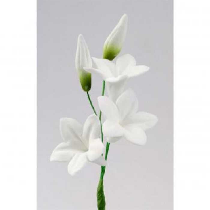 سیلیکون قالب گیری به گز مدل گل گلایول مجموعه 5 عددی