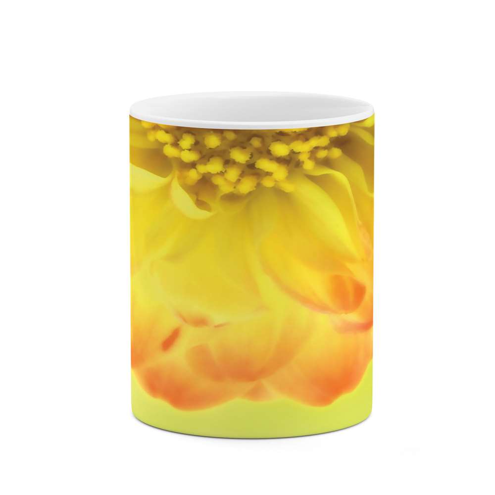 ماگ طرح گل مدل mgs05619