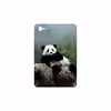 برچسب پوششی ماهوت مدل Panda مناسب برای تبلت سامسونگ Galaxy Tab 7.7 2011 P6800