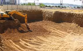 اصول گودبرداری