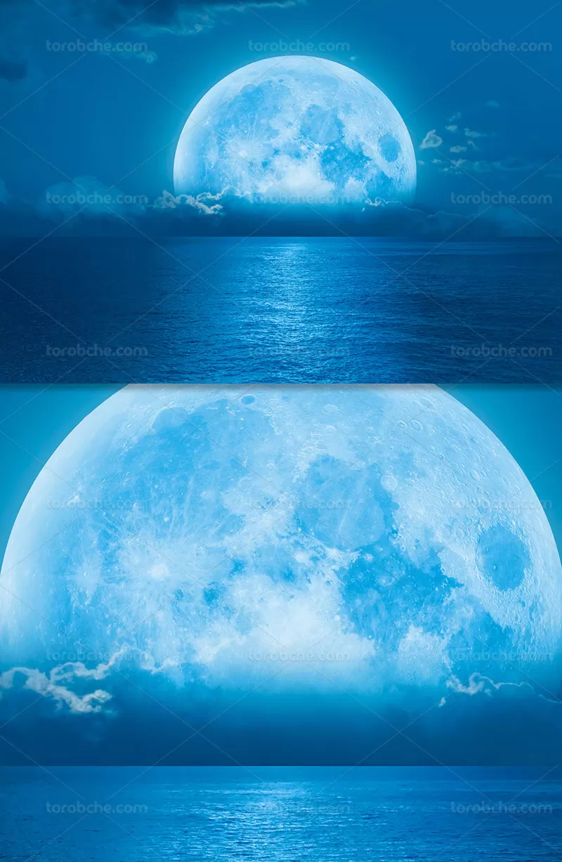 عکس ماه | گرافیک با طعم تربچه