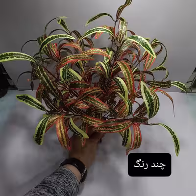گل مصنوعی مدل برگ آکوبا کد PA.1062