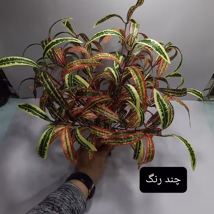 گل مصنوعی مدل برگ آکوبا کد PA.1062