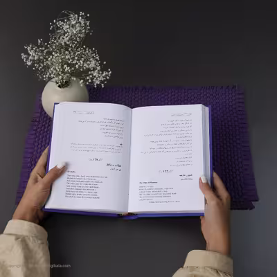 کتاب در قلمرو زرین اثر حسین محی الدین الهی قمشه ای انتشارات سخن