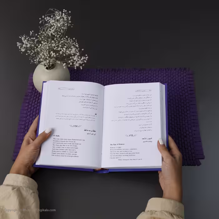 کتاب در قلمرو زرین اثر حسین محی الدین الهی قمشه ای انتشارات سخن