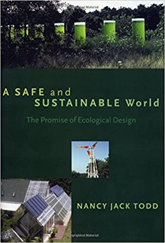  دانلود کتاب A Safe And Sustainable World - The Promise Of Ecological Design, 2005 - دانلود کتاب های دانشگاهی
