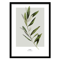 قیمت و خرید تابلو دکوراتیو مدل نقاشی آبرنگ برگ زیتون