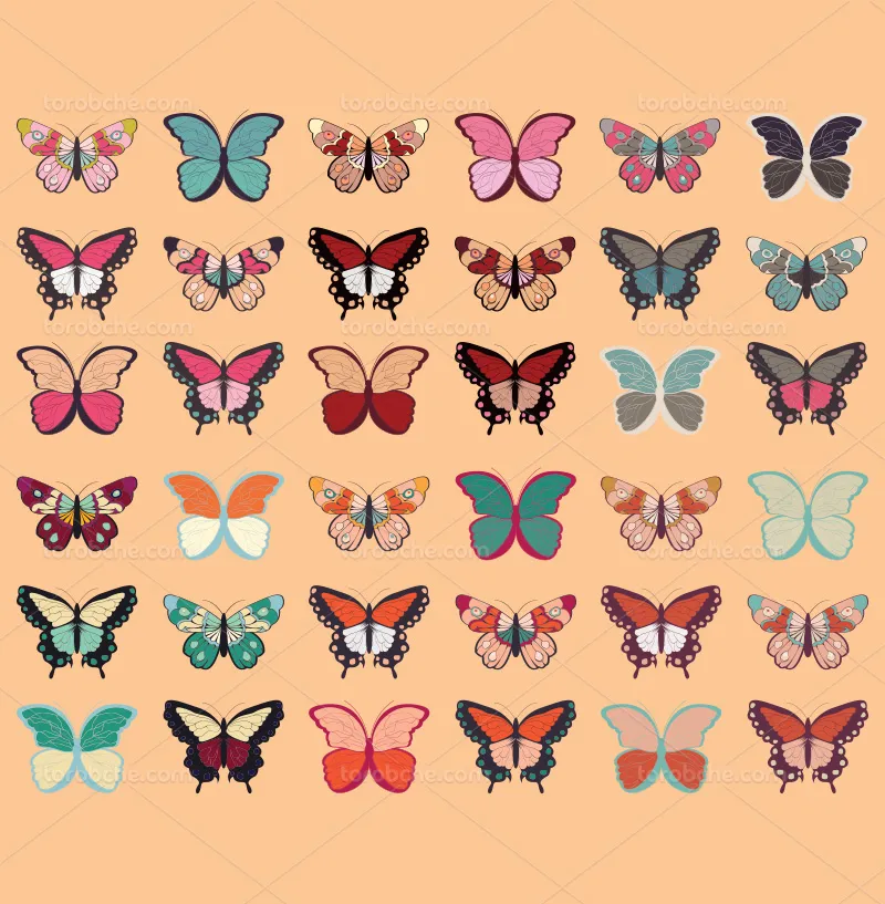 وکتور انواع پروانه رنگارنگ | گرافیک با طعم تربچه