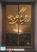 قیمت و خرید کتاب در همسایگی گلوله ها اثر رضا کریمی صالح | ایده بوک