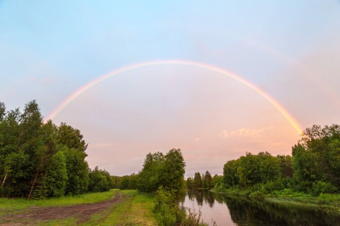 خرید و دانلود عکس Nature-Part-6 کد 37043 | پیک فاکس | Pic Fox