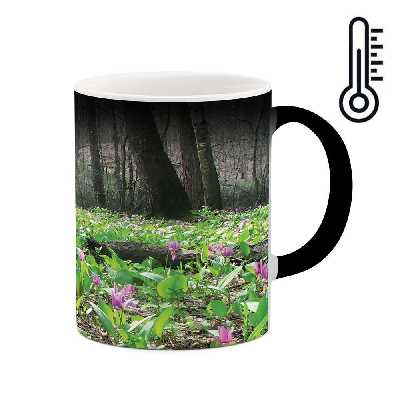 ماگ حرارتی طرح طبیعت مدل mgh03064