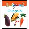 کتاب قلقلی ها 5 آشنایی با سبزیجات اثر امیلی بومون انتشارات قدیانی
