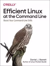 خرید و دانلود نسخه کامل کتاب Efficient Linux at the Command Line: Boost Your Command-Line Skills