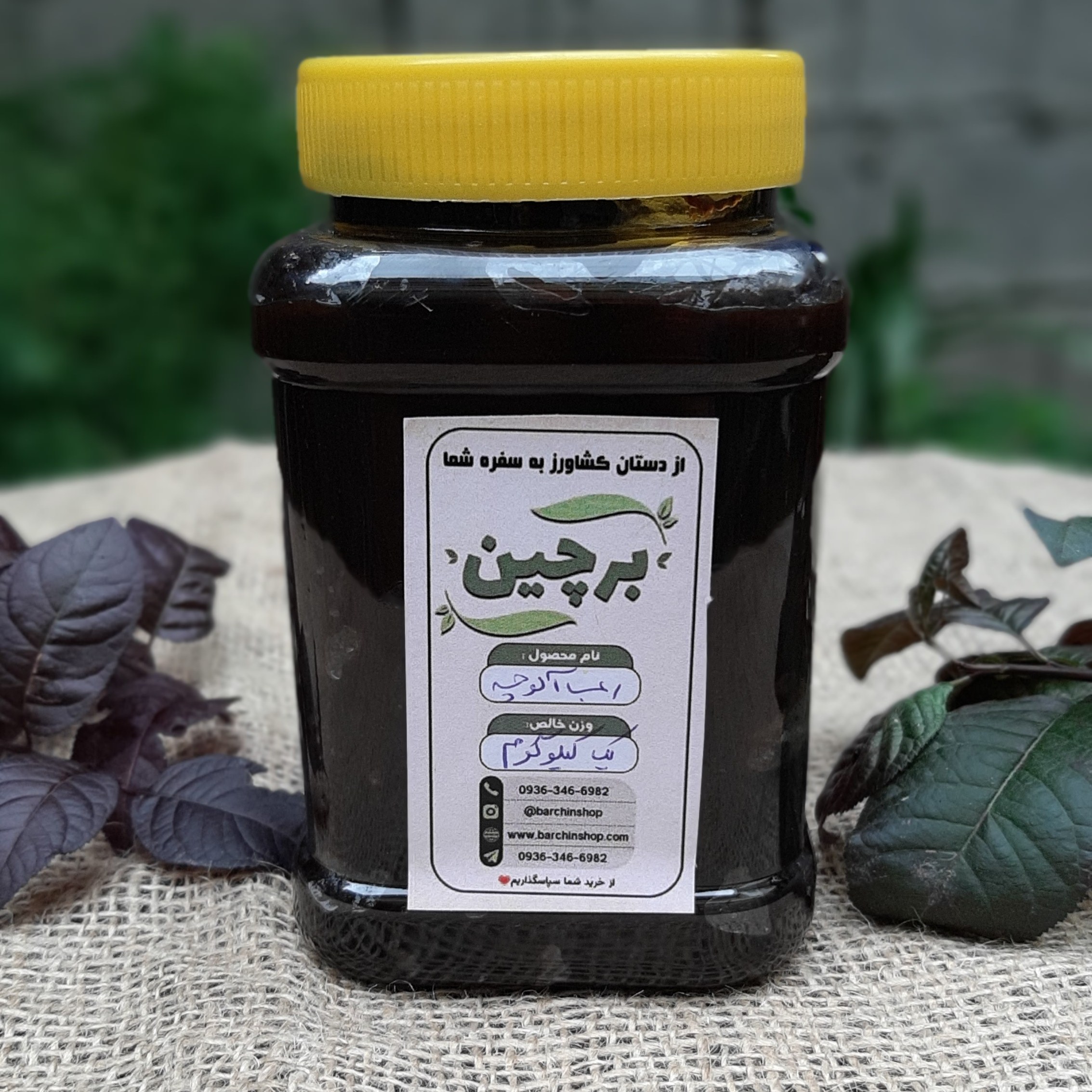 رب آلوچه ترش بسته بندی یک کیلویی