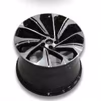 رینگ چرخ دیگینیتی