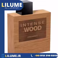 عطر ادکلن دسکوارد2 هی وود اینتنس 100 میل مردانه