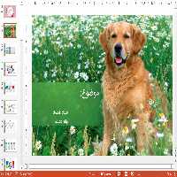 خرید و دانلود قالب پاورپوینت سگ