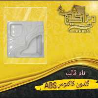 قالب گلدان کاکتوسabs