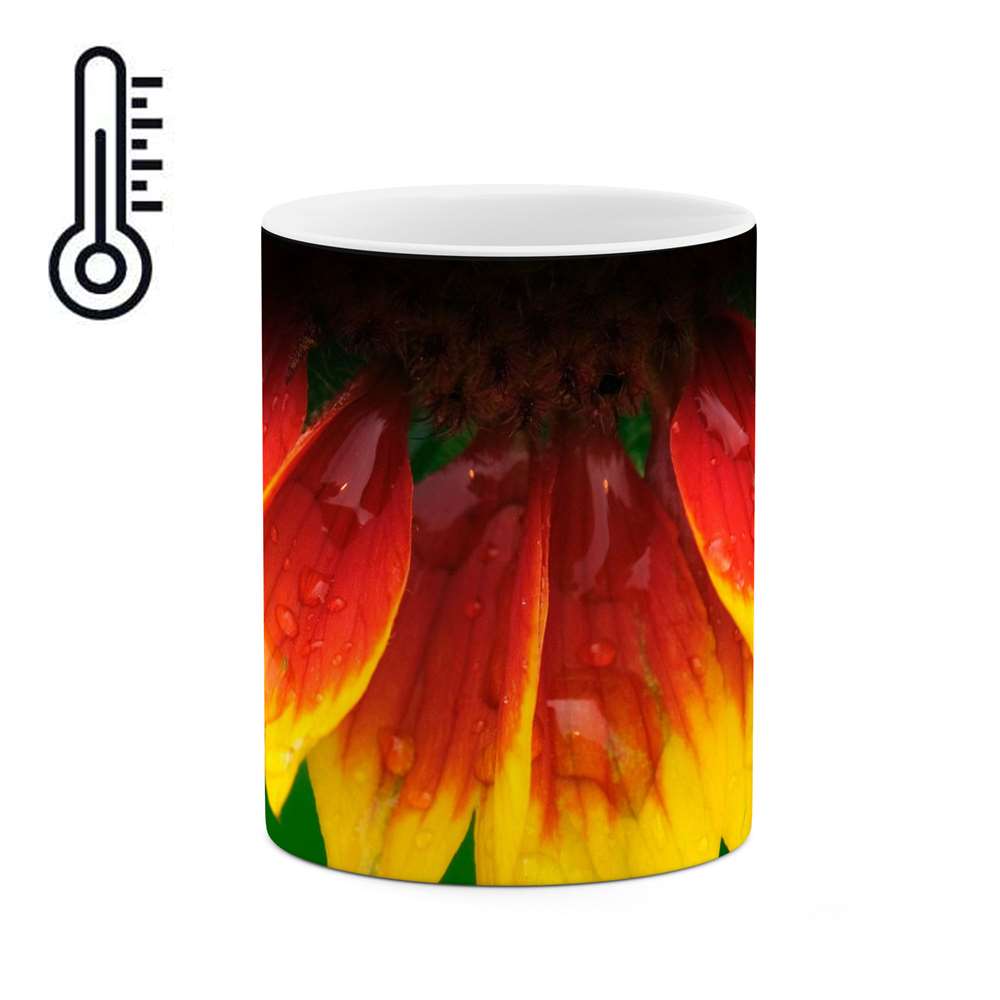 ماگ حرارتی طرح گل مدل mgh12116