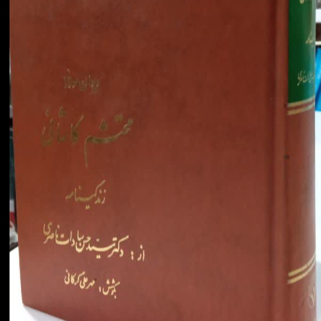 دیوان مولانا محتشم کاشانی محقق مهر علی گرگانی
