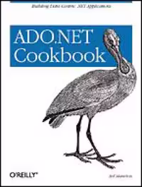 خرید و دانلود نسخه کامل کتاب ADO.NET Cookbook
