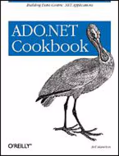 خرید و دانلود نسخه کامل کتاب ADO.NET Cookbook