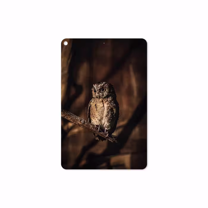 برچسب پوششی ماهوت مدل Owl مناسب برای تبلت اپل iPad mini (GEN 5) 2019 A2133