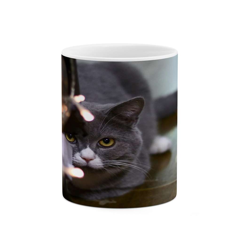 ماگ کاکتی طرح گربه مدل mgs16745