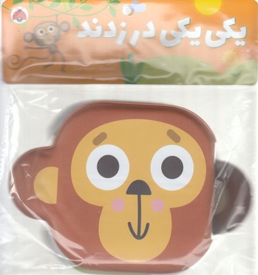 کتاب حمام دنیای رنگی رنگی