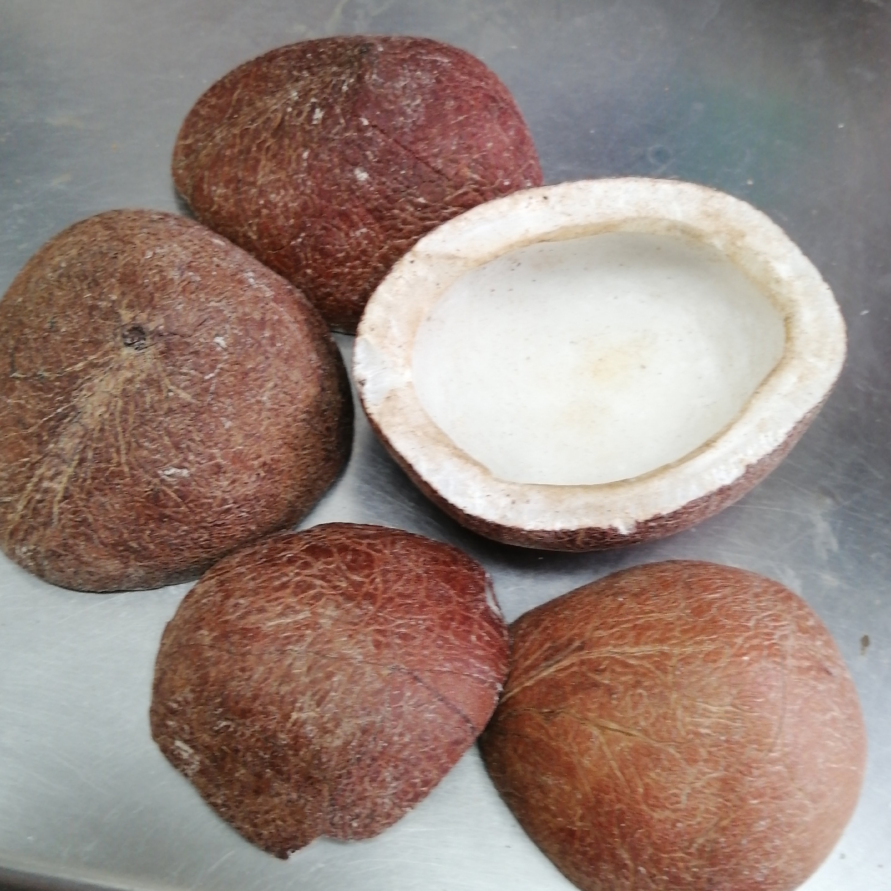 نارگیل 75 گرم