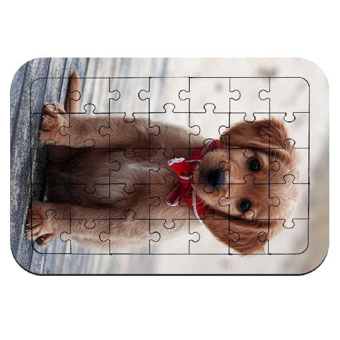  پازل 35 تکه طرح سگ مدل NI1101