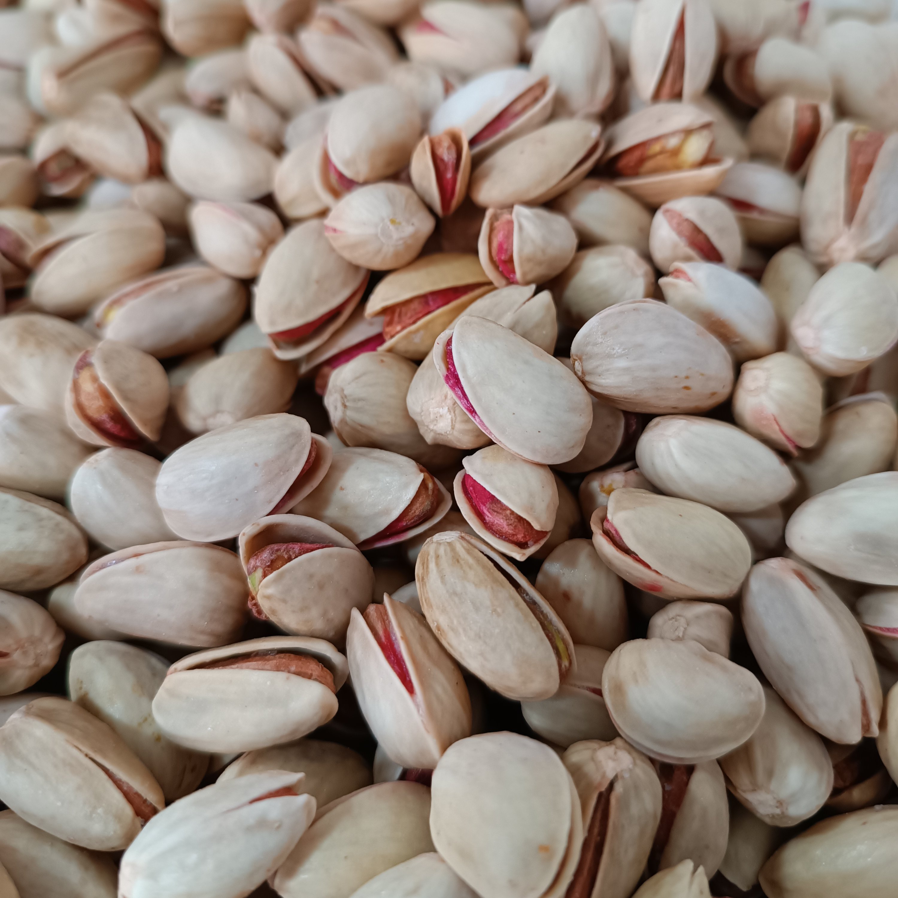 پسته اکبری خندان