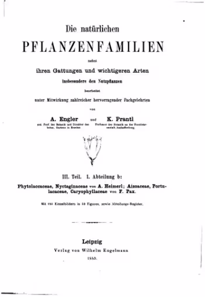 خرید و دانلود نسخه کامل کتاب Die natürlichen PFLANZENFAMILIEN. Phytolaccaceae