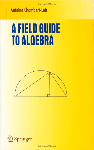 خرید و دانلود نسخه کامل کتاب A Field Guide to Algebra