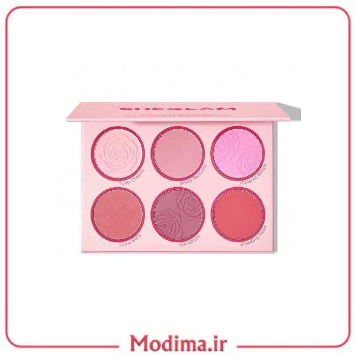 پالت رژگونه 6 تایی شیگلم SHEGLAM 🎀