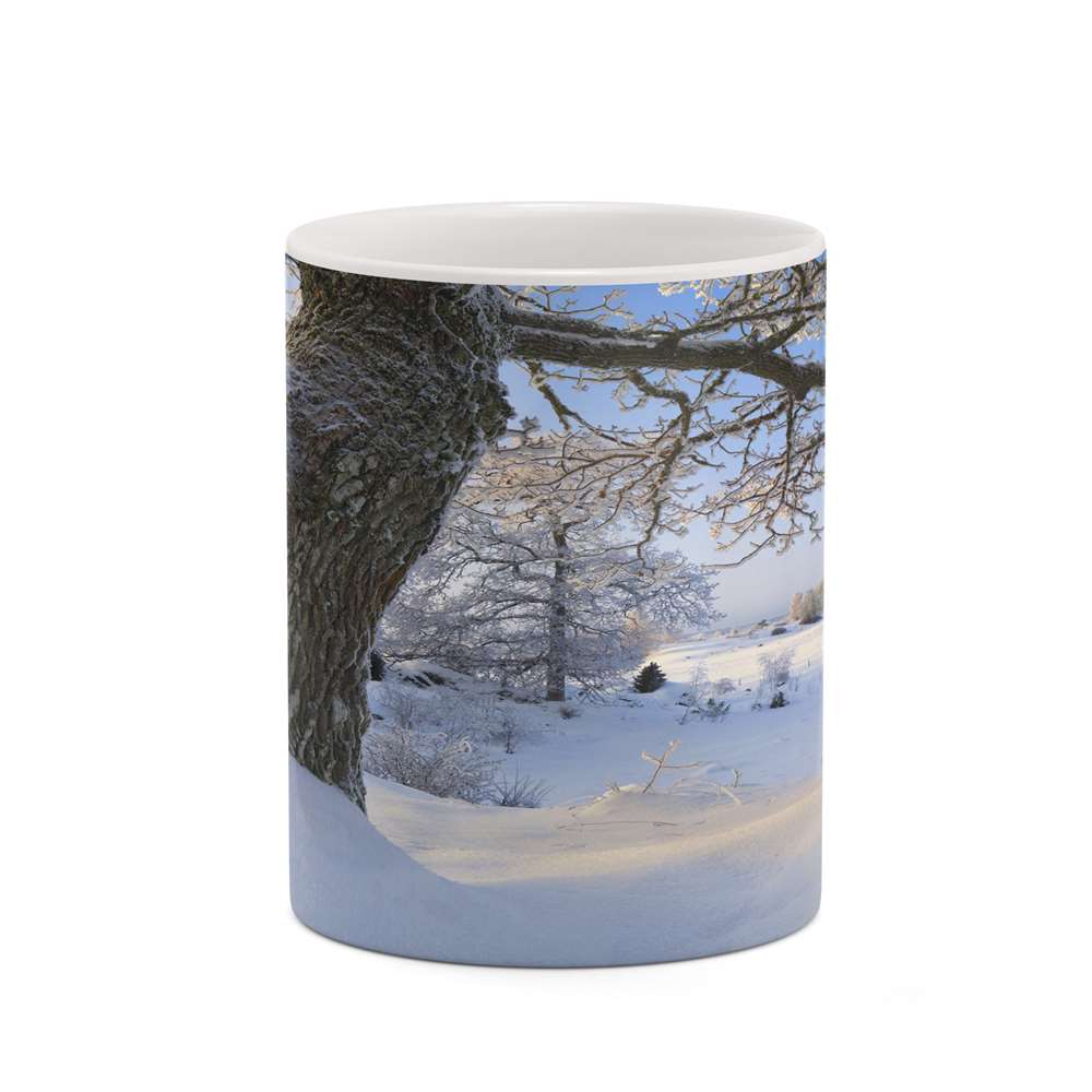 ماگ کاکتی طرح منظره برفی مدل mgh18522