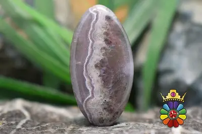 کرزی لس اگات