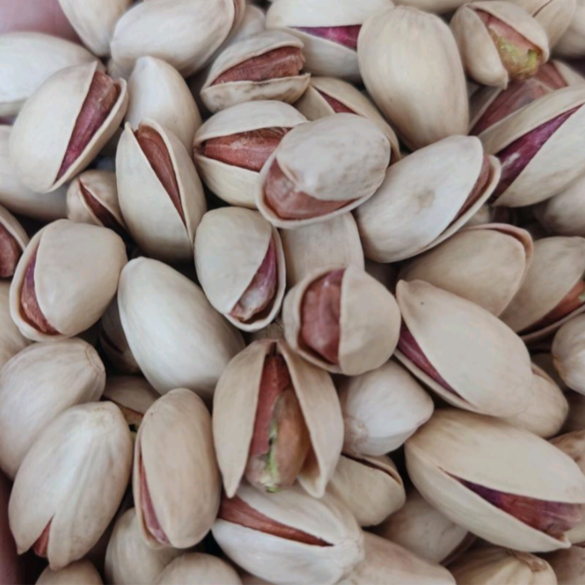 پسته رفسنجان