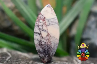 جاسپر چینی(پورسلاین جاسپر)