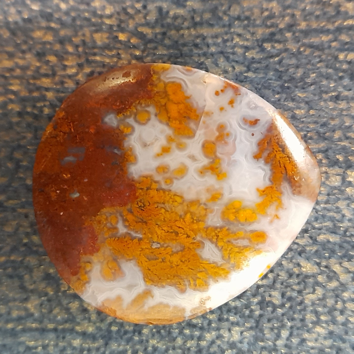 نگین شجر زیبای پاییزه