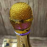 اسپیکر  میکروفن اصل حرفه ای 