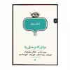 کتاب انتخاب پریان مردی که بر مه پل زد اثر جمعی از نویسندگان انتشارات پریان